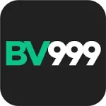 Download BV999  APK